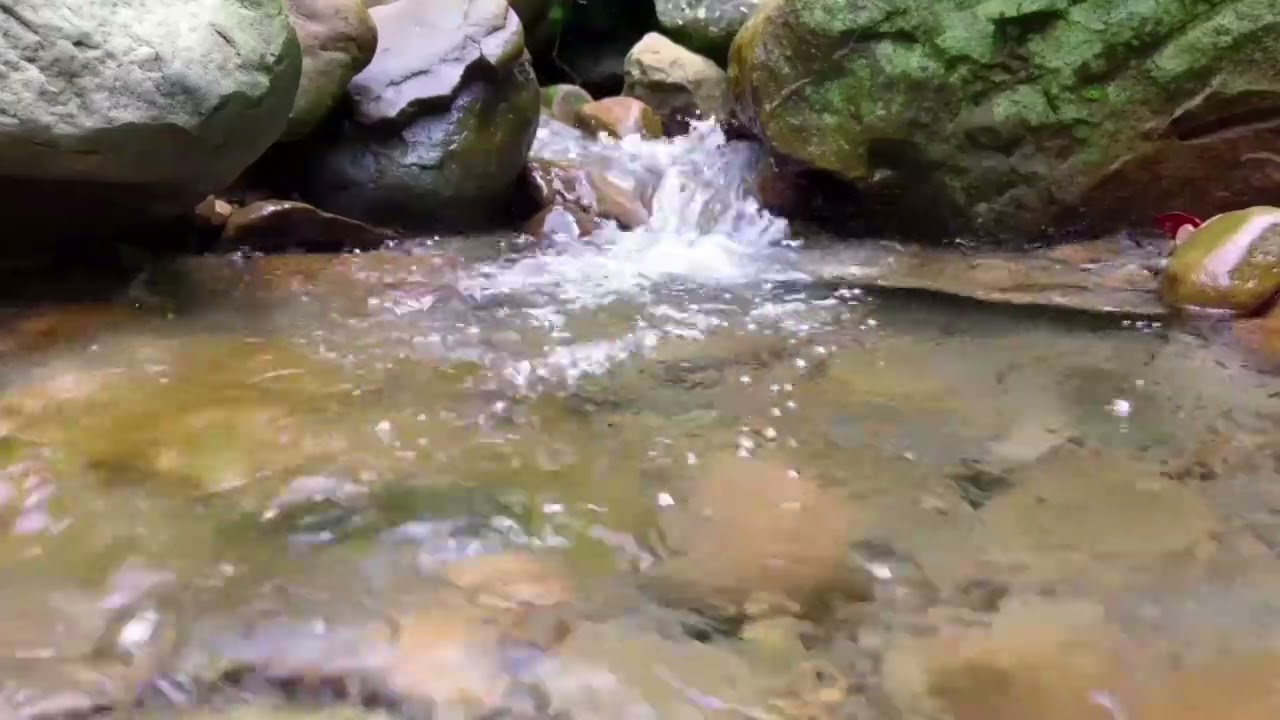 SONS RELAXANTES - água límpida corrente