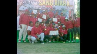 Perlengkapan Dan Teknik Dasar Olahraga Woodball