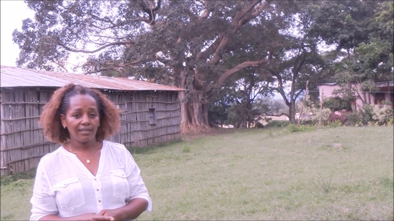 Nursery Tutorial 1 Site Selection