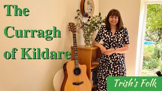 Miniatura de "The Curragh of Kildare (Johnstons cover)"