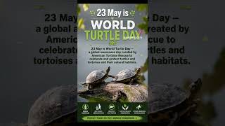 World Turtle Day 2026 | Protect Today, Preserve Forever 🐢🌊