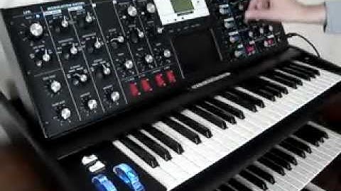 Minimoog Voyager Electric Blue