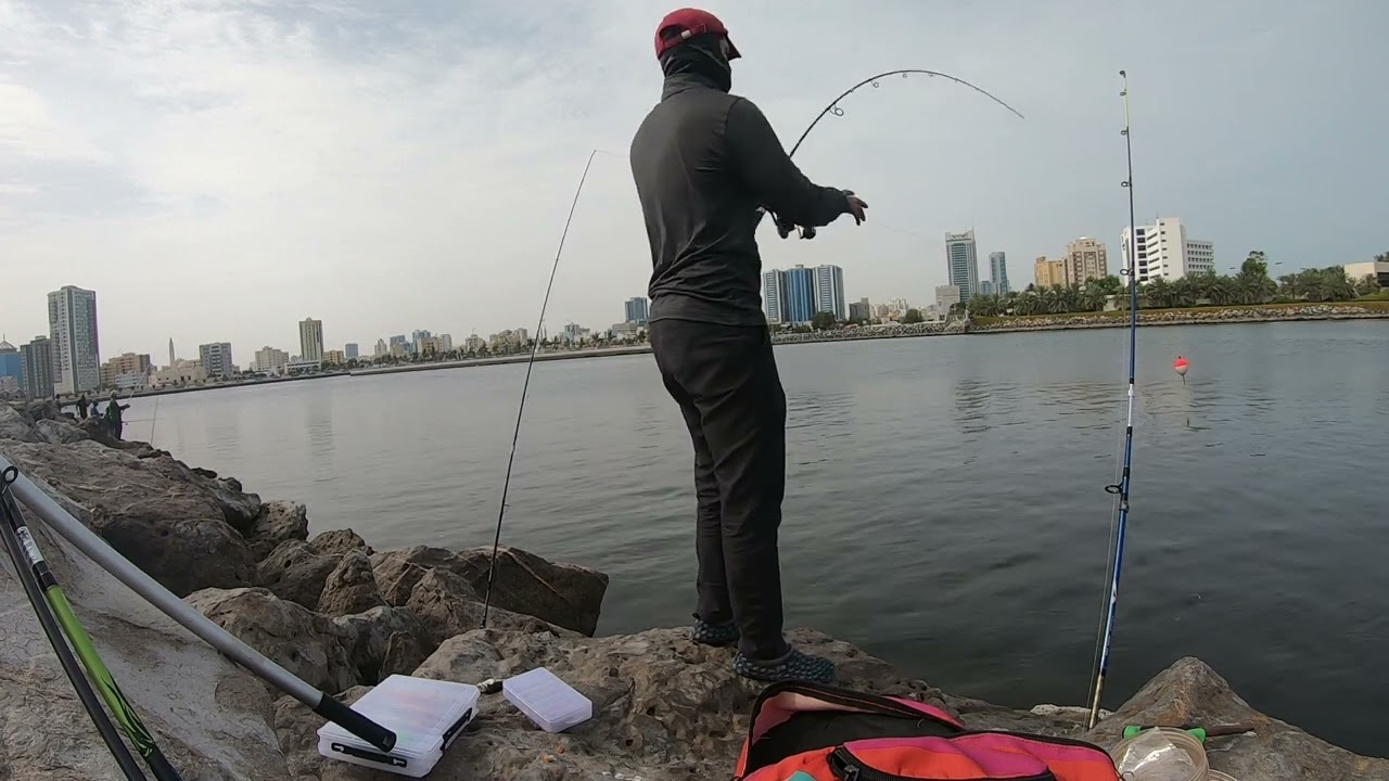 Monster Queen | Al Zohra Beach - Ajman Fishing | Fishing in UAE | BlueTipH Fishing(EP-060)
