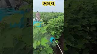 સમય Short Viral Million