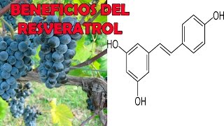 ¿Para que Sirve el Resveratrol?  - Beneficios del Resveratrol Para La Salud