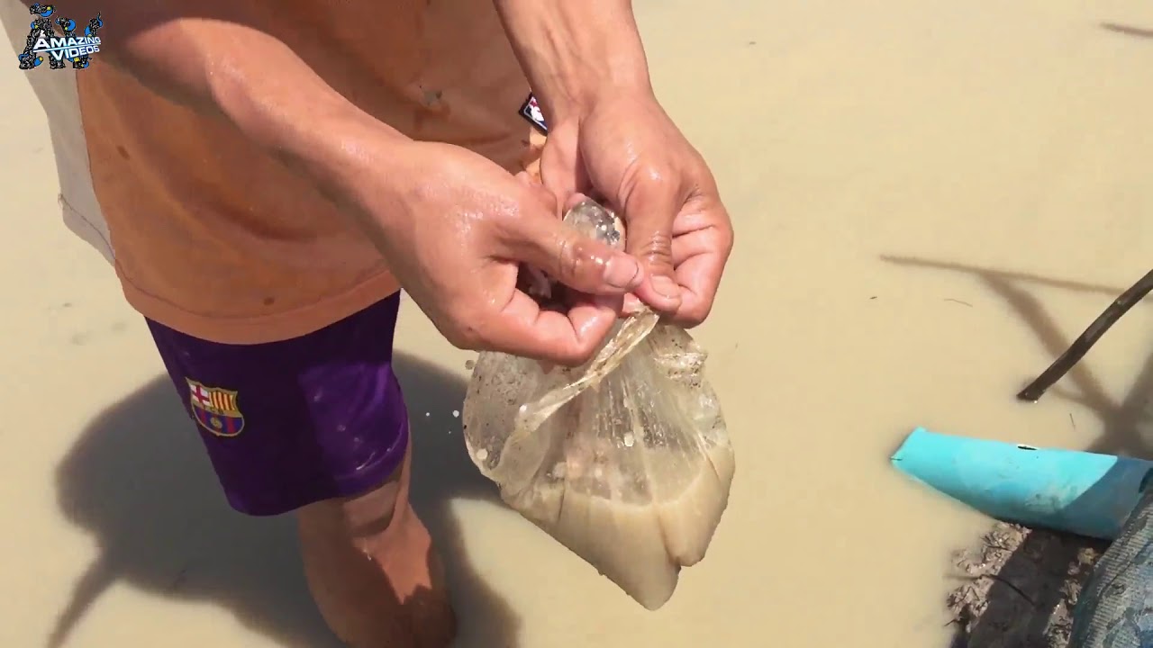 How to Make Crab & Fish Trap By Electric Fan   cooking Crab