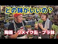 【多肉植物】【どの鉢がいい？】どの鉢がいいの？2026年9月28日