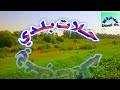 حلات بلدي حلات نيلا