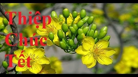 Thiệp Mừng Xuân Đinh Dậu 2017