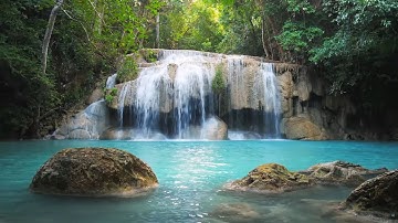 Deep Healing Music, Healing Your Nervous System, Instant Relief from Stress and Anxiety, Calm Nature