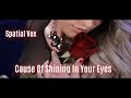 Spatial Vox - Cause Of Shining In Your Eyes (New Official Song) from The 1st Album   Short Version