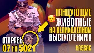 ТАНЦУЮЩИЕ ЖИВОТНЫЕ НА ВЕЛИКОЛЕПНОМ ВЫСТУПЛЕНИИ! Отправь 07 на 5021 за ансамбль HASSAK из Казахстана