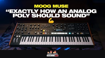 Exploring the Moog MUSE 😍 (No Preset Surfing)