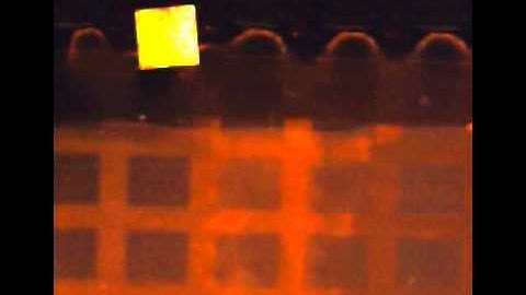 Magnetic field assisted Fluidic Self-Assembly (MFSA) : 90 deg. fixed by substrate up and down