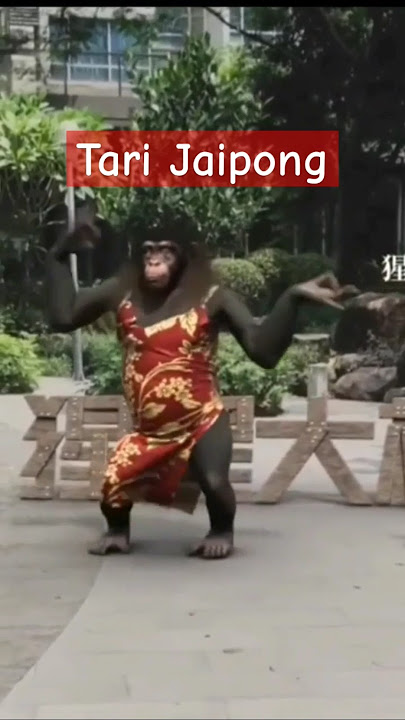 Monyet joget Jaipong #lucu #kocak #jaipong #monyet #monkey #shortvideo #youtubeshorts
