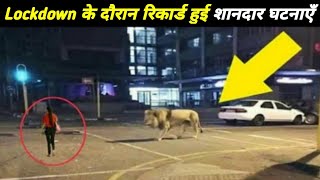 Lockdown के दौरान रिकार्ड हुई कुछ  शानदार घटनाएँ | Amazing Things Recorded During Lockdown