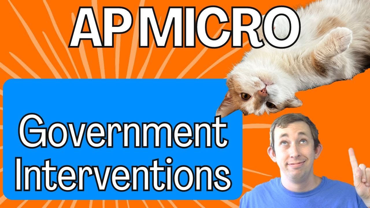 The Complete AP Guide to Taxes and Government Policies  | AP Micro Struggle 2.8