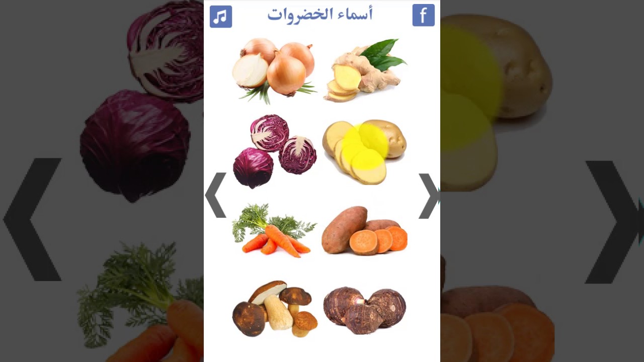 تعليم أسماء الخضروات فلاش توونز تطبيق أندرويد رووووعة للأطفال