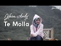 Jihan Audy - TE MOLLA | Cover