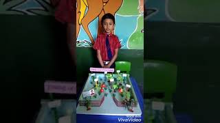 Celebrity Science Fair 2017 - 18 Things we get from plants Net Worth
