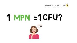 CFU Là gì. MPN là gì-  Different betwen CFU and MPN| English sub.