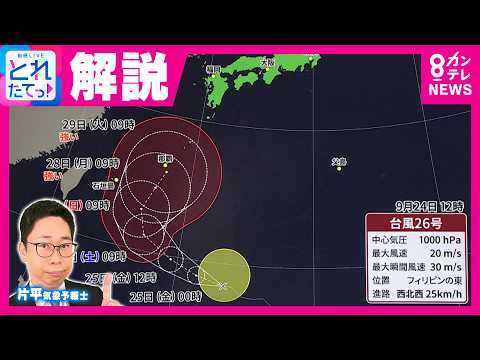 【最新情報】新たな「台風26号」が発達しながら北上へ 今後の進路は？ 気象予報士が解説 台風25号では千葉・神奈川の死者が10人に｜旬感LIVE とれたてっ!〈カンテレ〉