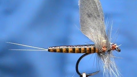 Fly Tying Realistic Red Quill with Jim Misiura