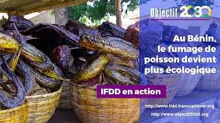 Au Benin, le fumage de poissons devient plus écologique
