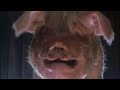 Animal Farm 1999 The Restored Version Full Movie English