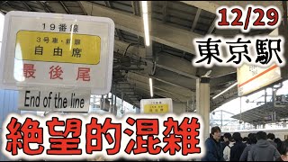 【日常#1】うっかり地獄の年末帰省ラッシュに遭遇してしまう 【東京駅】｜The jam-packed bullet train at the end of the year in Japan