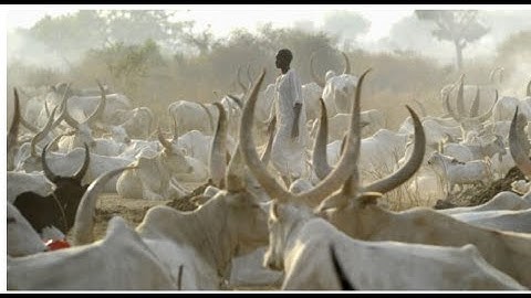 caa nɛɛ 5 na̱k kɛ nɛɛ 10 ti̠ caa  ba̱r