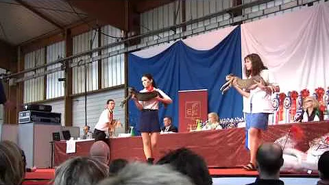 Watch the video about FIFe Worldshow St Etienne 2010 Cat 4.m4v