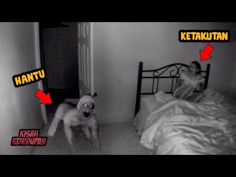 Video: Peneliti Paranormal Inggris Telah Menangkap Hantu Di Video - Pandangan Alternatif