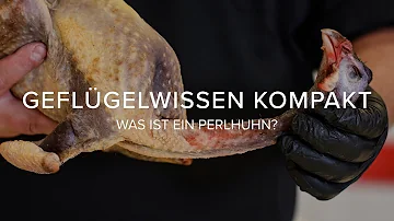 Was ist der Unterschied zwischen einem Huhn und einem Perlhuhn?