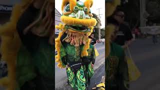 Lion dance Manoa parade 2019