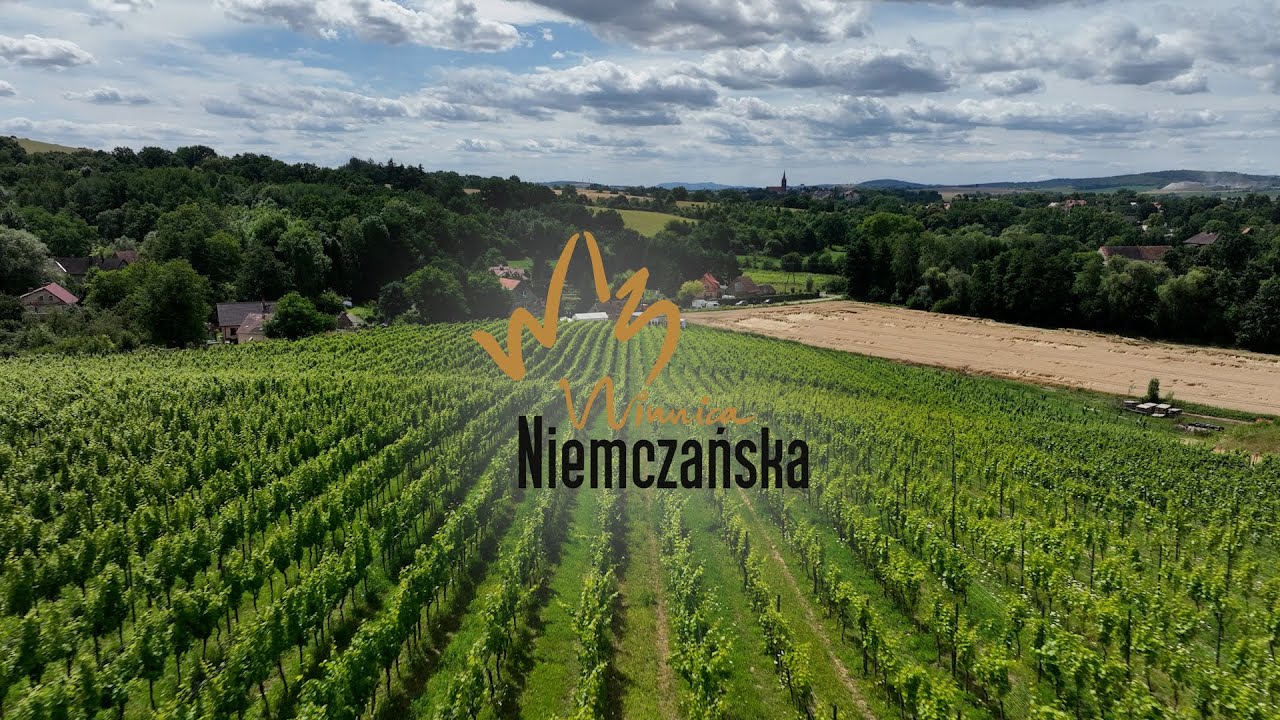 Winnica Niemczańska