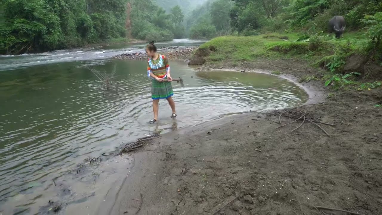 Catch Big Fish in HEAVY RAIN, STORM | Primitive Fishing Video ...