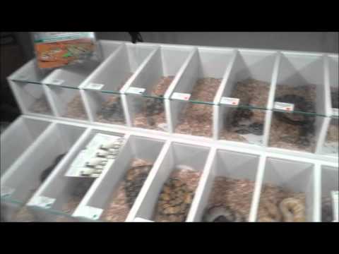video phone beyonce mp3 Bourse des crocos 2016!