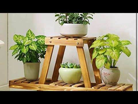 Idées décorations avec des plantes
