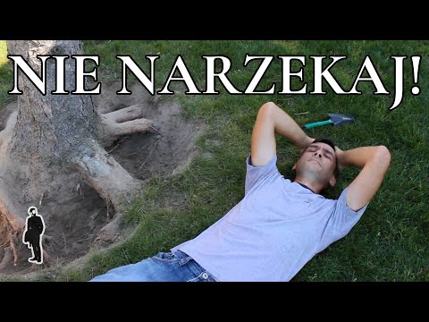 Wideo: Gdzie Narzekać Na Wynagrodzenie?