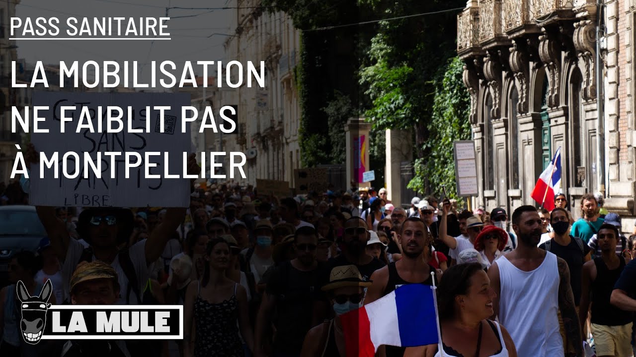 #AntiPassSanitaire - La mobilisation ne faiblit pas à Montpellier