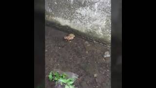 Gile Adegan Mesum Berempat Ditempat Terbuka.