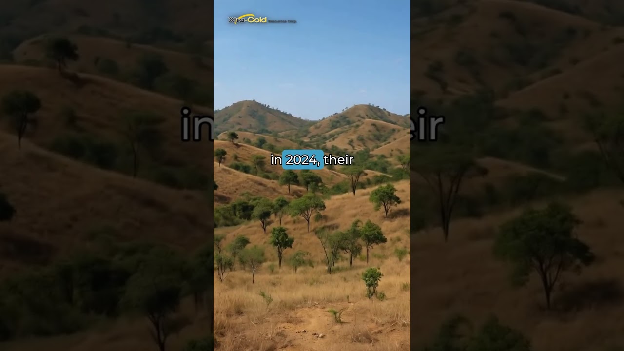 Zero Debt! Major Asset Boost!