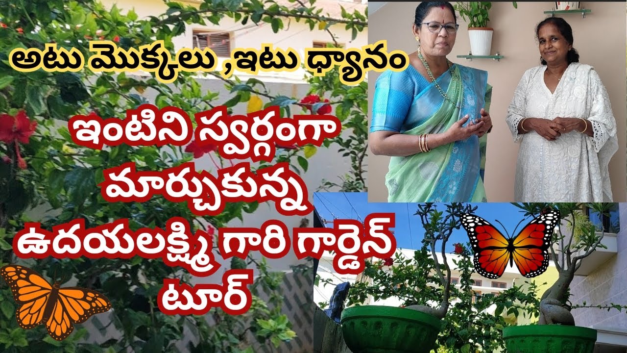 అటు మొక్కలు, ఇటు ధ్యానం, ఇంటిని స్వర్గంగా మార్చుకున్న ఉదయలక్ష్మి గారు#@Aadi Lakshmi's Terrace Garden ఆదిలక్ష్మి మిద్దెతోట #