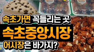 속초관광수산시장(속초중앙시장) 체험기, 지하어시장이 가성비가 좋다고?? 수산물 사실분은 꼭 보고 가세요!!