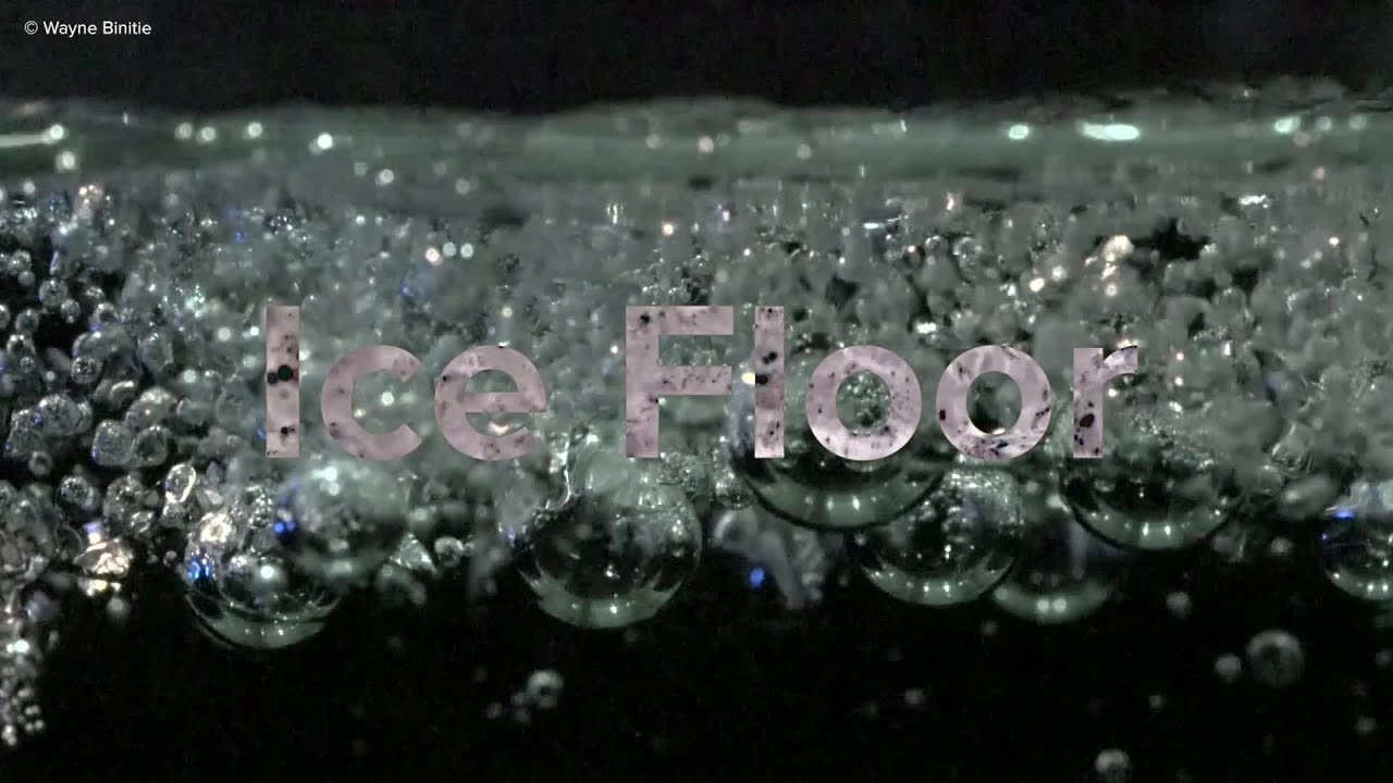 Ice Floor by Wayne Binitie: an installation about climate change