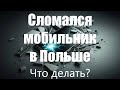 Польский язык. Курс А2. Урок 24 (облегченный)