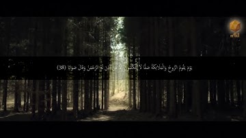 اواخر سورة النبأ للقارئ يونس اسويلص