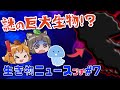 全長○○○m！？謎の海の巨大生物・赤いきつねと緑のたぬきバトル！【いきものニュースプチ#7】@henchrou
