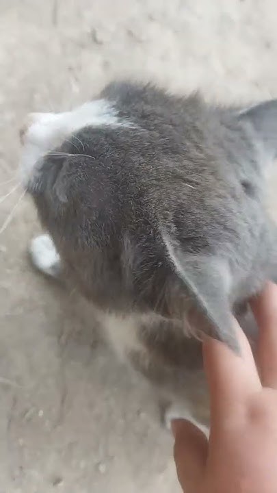 Это было Оман 🤣😂 - YouTube